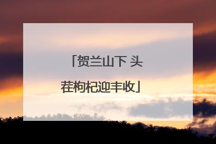 贺兰山下 头茬枸杞迎丰收